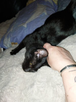 /album/20-10-2025/afbeelding-van-whatsapp-op-2025-10-19-om-21-12-44-58fa6d59-jpg/